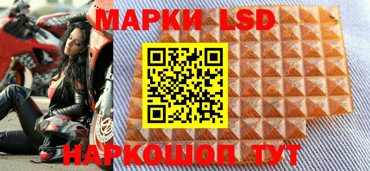 Наркотические марки 1500мкг  Наркотические марки  Балтийск  Наркотические марки 1500мкг  Вход с VPN 