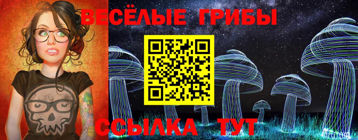 Балтийск  Галлюциногенные грибы прущие грибы  Вход с VPN 